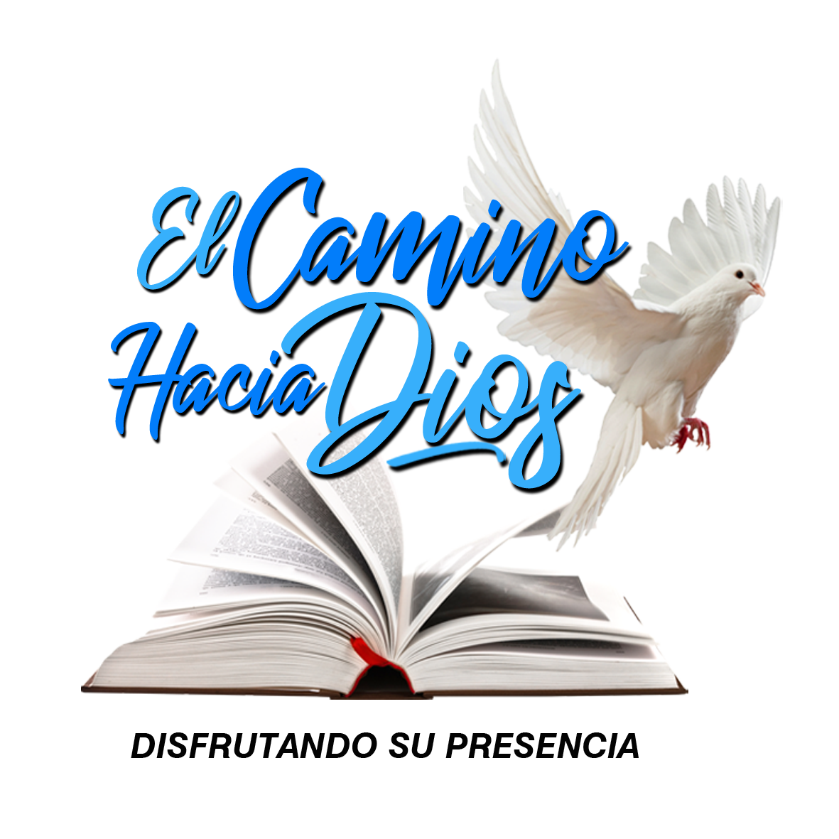 LOGO (1)